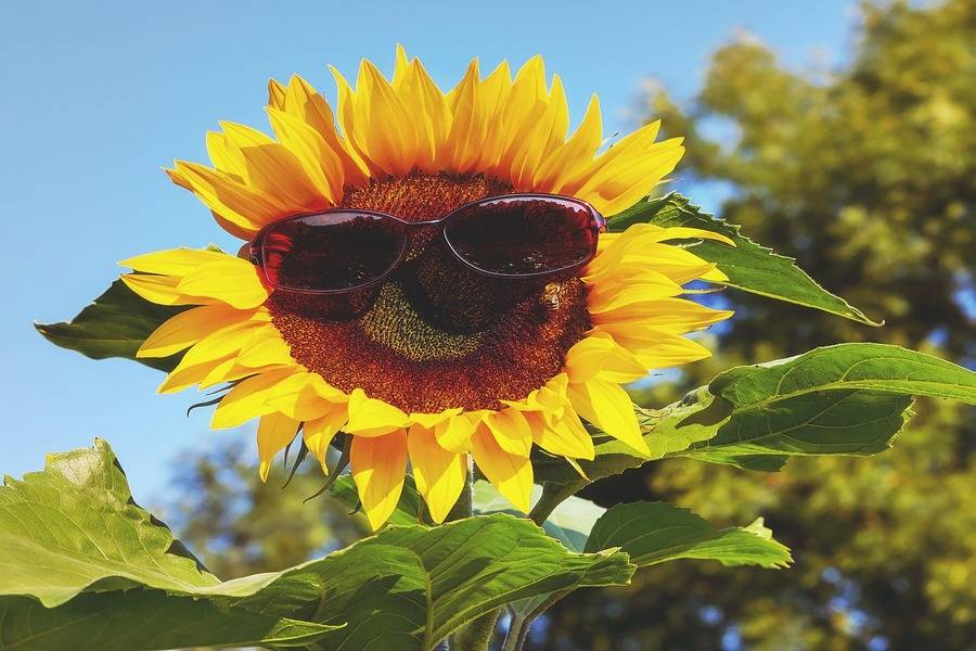 Sonnenschutzfaktor | Sommerurlaub